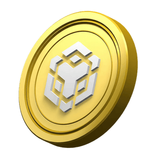 Moneda BNB ornamental dentro de la sección de información de la plataforma